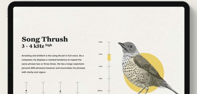 Hearing Birdsong